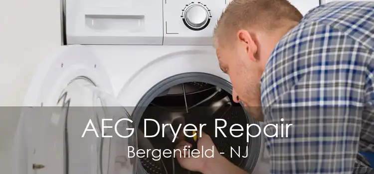 AEG Dryer Repair Bergenfield - NJ