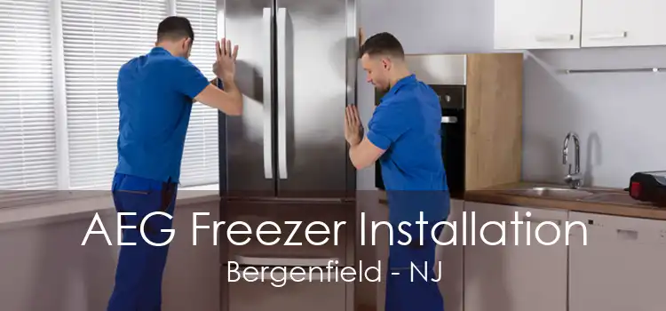 AEG Freezer Installation Bergenfield - NJ