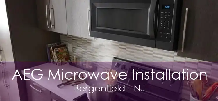 AEG Microwave Installation Bergenfield - NJ