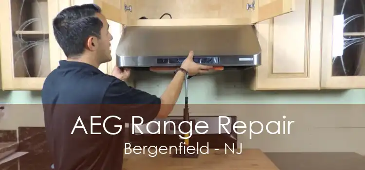 AEG Range Repair Bergenfield - NJ