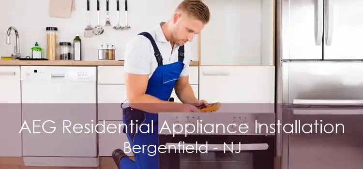 AEG Residential Appliance Installation Bergenfield - NJ