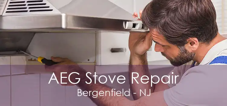 AEG Stove Repair Bergenfield - NJ