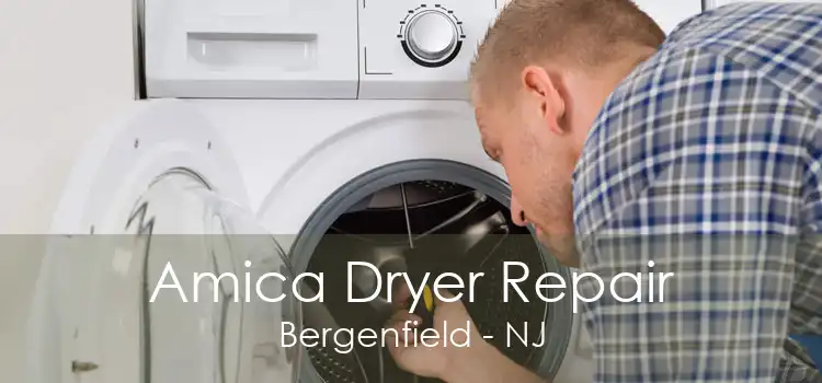 Amica Dryer Repair Bergenfield - NJ