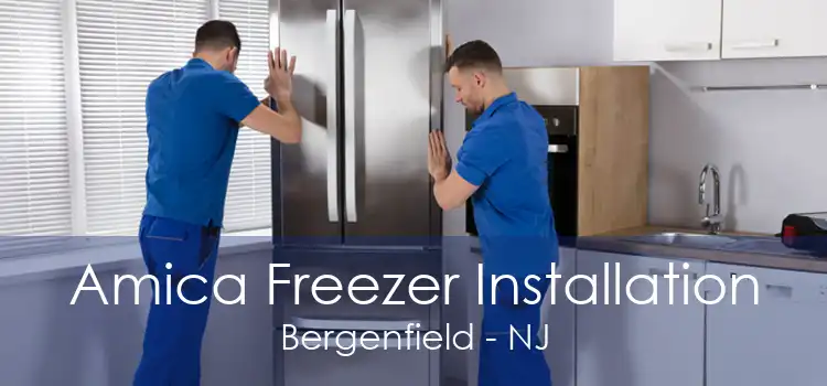 Amica Freezer Installation Bergenfield - NJ