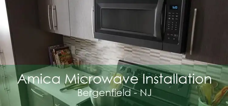 Amica Microwave Installation Bergenfield - NJ