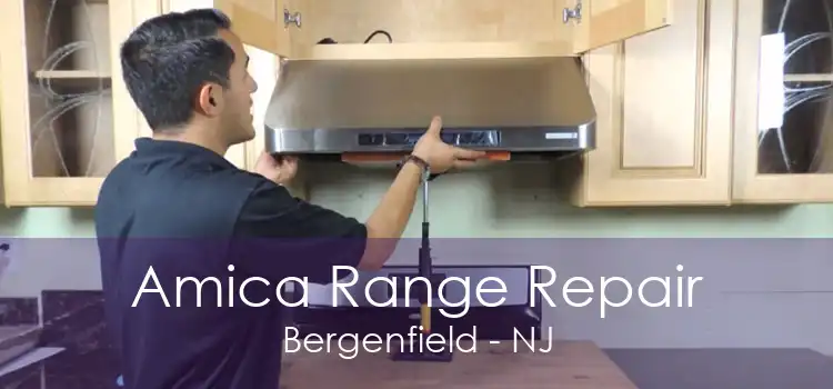 Amica Range Repair Bergenfield - NJ