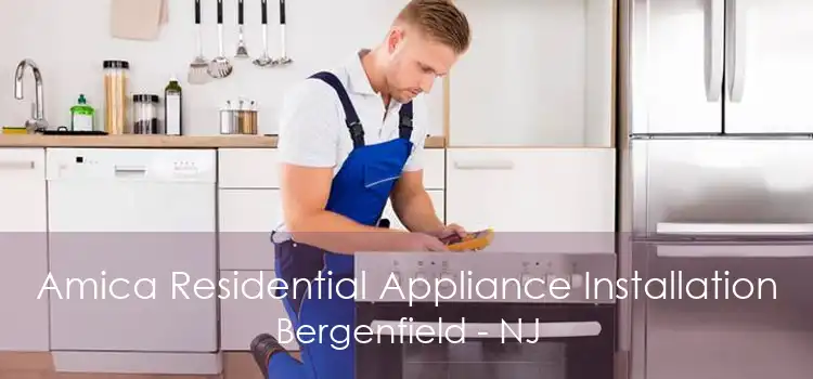 Amica Residential Appliance Installation Bergenfield - NJ