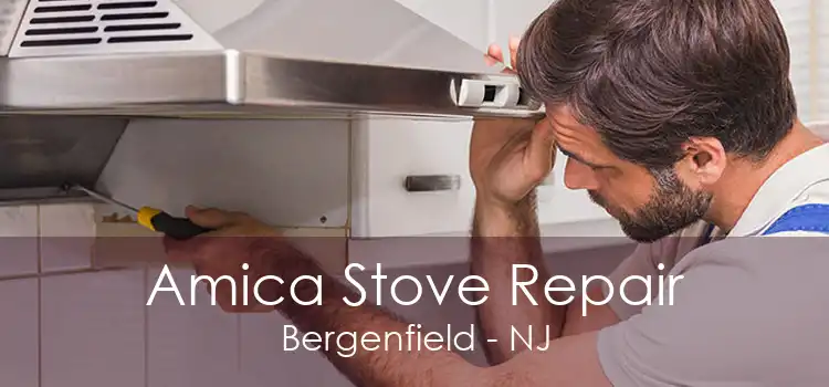 Amica Stove Repair Bergenfield - NJ