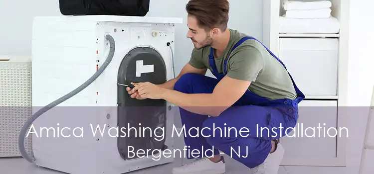 Amica Washing Machine Installation Bergenfield - NJ