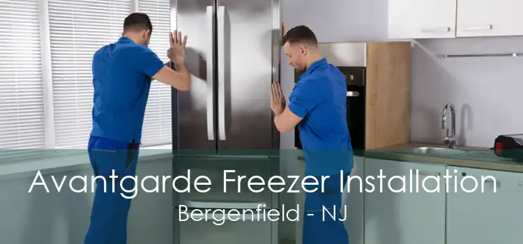 Avantgarde Freezer Installation Bergenfield - NJ