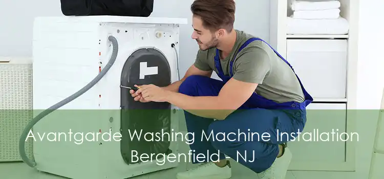 Avantgarde Washing Machine Installation Bergenfield - NJ