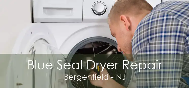 Blue Seal Dryer Repair Bergenfield - NJ