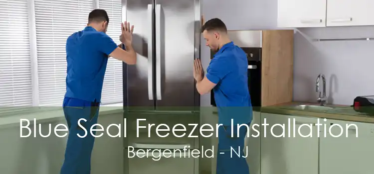 Blue Seal Freezer Installation Bergenfield - NJ