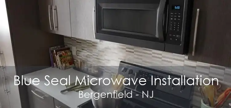 Blue Seal Microwave Installation Bergenfield - NJ