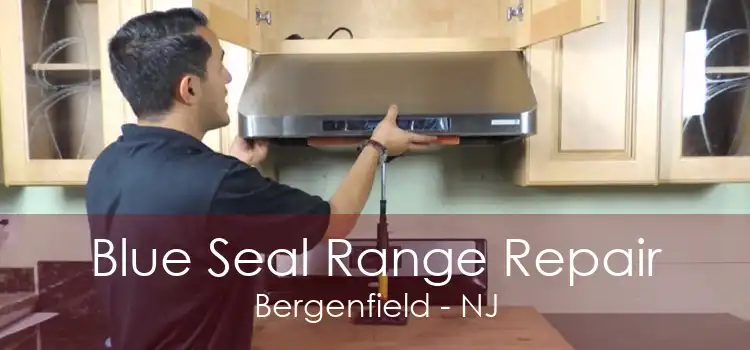 Blue Seal Range Repair Bergenfield - NJ