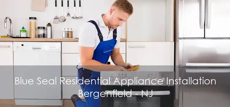 Blue Seal Residential Appliance Installation Bergenfield - NJ