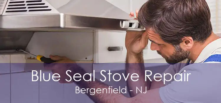 Blue Seal Stove Repair Bergenfield - NJ