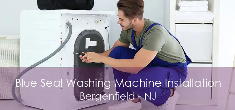 Blue Seal Washing Machine Installation Bergenfield - NJ