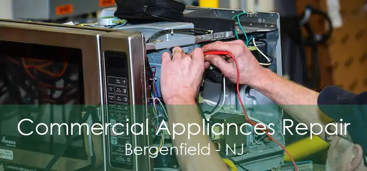 Commercial Appliances Repair Bergenfield - NJ