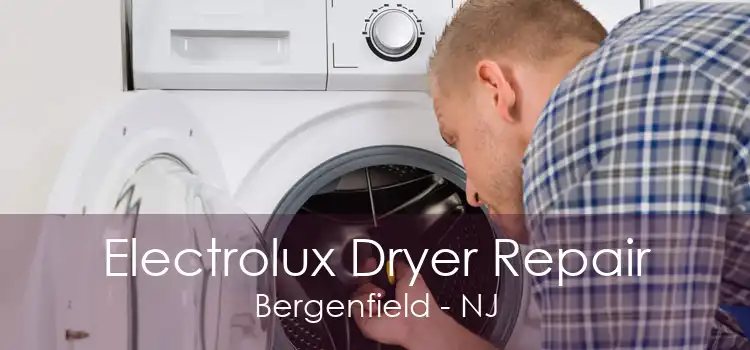 Electrolux Dryer Repair Bergenfield - NJ