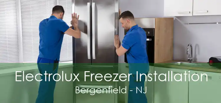 Electrolux Freezer Installation Bergenfield - NJ