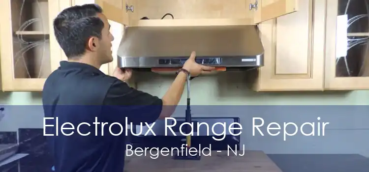 Electrolux Range Repair Bergenfield - NJ