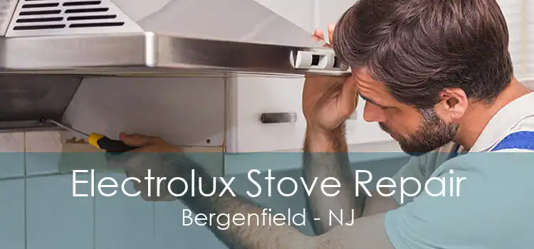 Electrolux Stove Repair Bergenfield - NJ