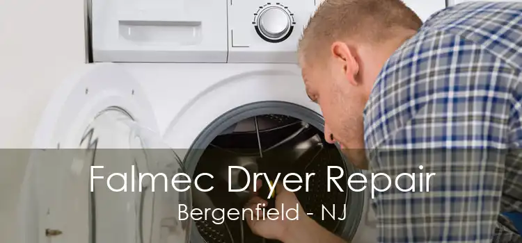 Falmec Dryer Repair Bergenfield - NJ