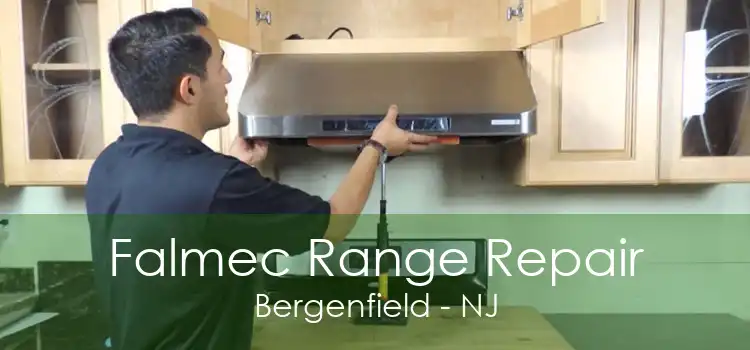 Falmec Range Repair Bergenfield - NJ