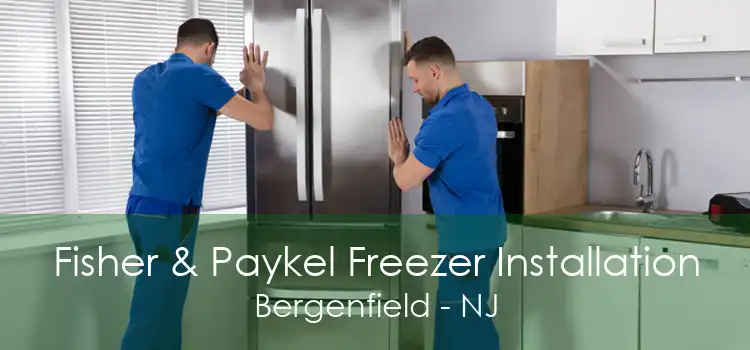 Fisher & Paykel Freezer Installation Bergenfield - NJ