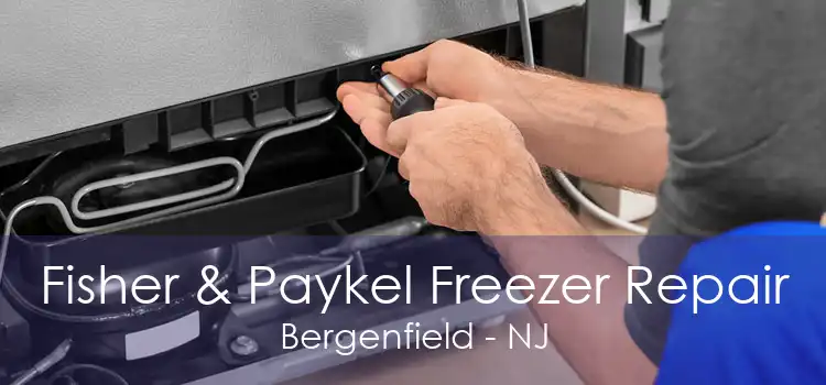 Fisher & Paykel Freezer Repair Bergenfield - NJ