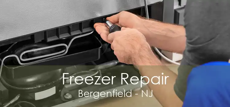 Freezer Repair Bergenfield - NJ