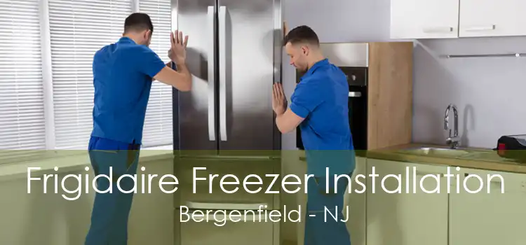 Frigidaire Freezer Installation Bergenfield - NJ