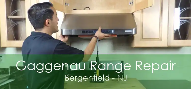 Gaggenau Range Repair Bergenfield - NJ