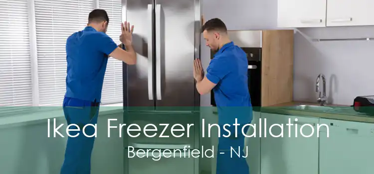 Ikea Freezer Installation Bergenfield - NJ