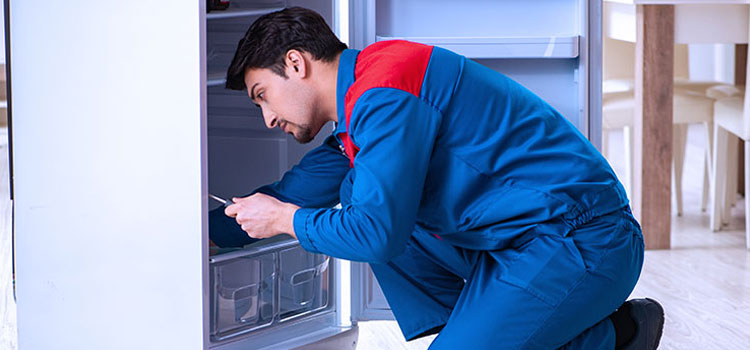 Freezer Repair Services in Bergenfield, New Jersey