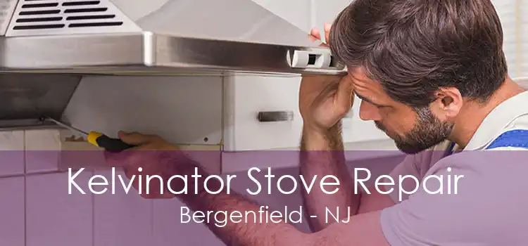 Kelvinator Stove Repair Bergenfield - NJ