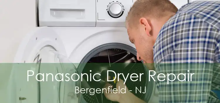 Panasonic Dryer Repair Bergenfield - NJ