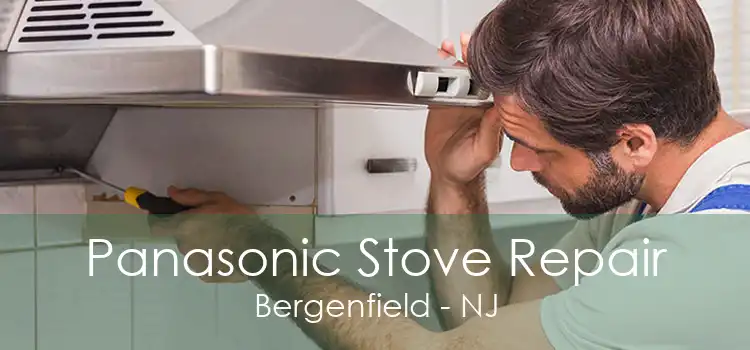 Panasonic Stove Repair Bergenfield - NJ