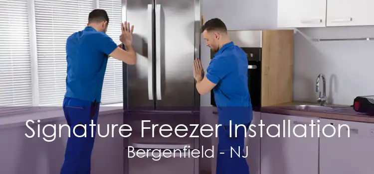 Signature Freezer Installation Bergenfield - NJ