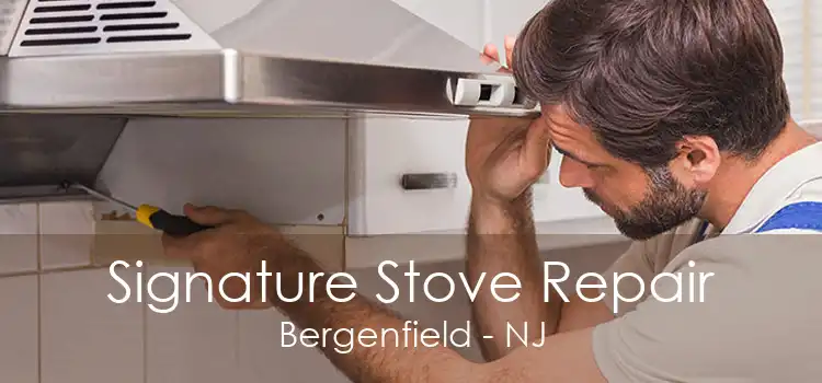 Signature Stove Repair Bergenfield - NJ