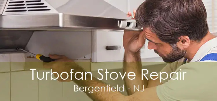 Turbofan Stove Repair Bergenfield - NJ