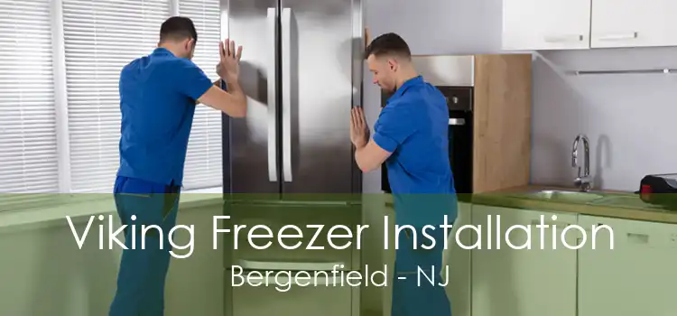 Viking Freezer Installation Bergenfield - NJ